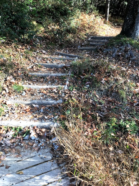 Barnett Branch Log Ladder Steps