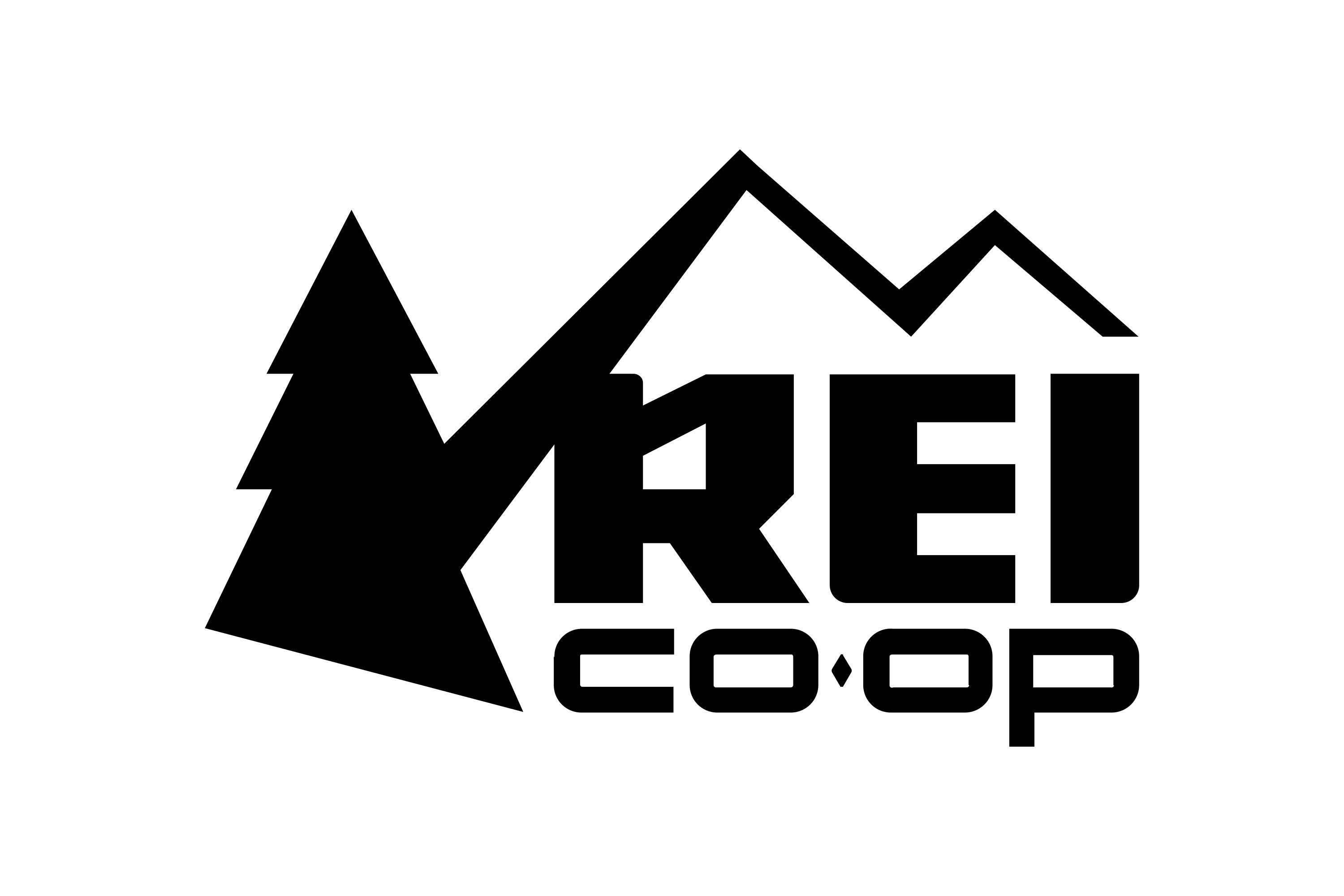 REI Logo