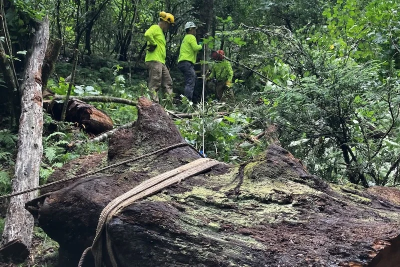 Photo taken by TPC staff member Simon Farr while assisting CMC volunteers withs staging and prepping materials for a volunteer work day